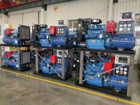 Diesel engines and generators used in combination