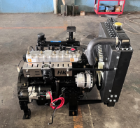 Diesel engines and generators used in combination
